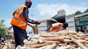 Demand - Ivory confiscation during Operation Cobra